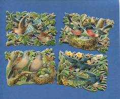 Printemps Bel Ensemble 4 Chromos Decoupis Gaufrés Nid Oiseaux Couple Couvée Oeufs Fleurs 6,5 X 8,5 Cm Chaque - Animali