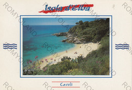 CARTOLINA  CAVOLI,ISOLA D"ELBA,LIVORNO,TOSCANA,BELLA ITALIA,MARE,SOLE,SPIAGGIA,LUNGOMARE,ESTATE,VIAGGIATA 1992 - Livorno