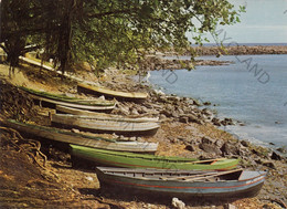 CARTOLINA  SAINT PIERRE (TERRE SAINTE),LA REUNION,FRANCIA,BARQUES DE PECHEURS,NON VIAGGIATA - Saint Pierre