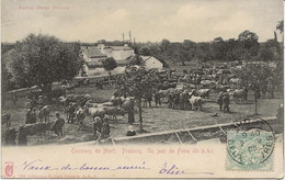 ENVIRONS DE NIORT - PRAHECQ-  UN JOUR DE FOIRE -ANNEE 1905 - Other Municipalities