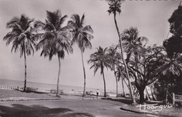 République De Guinée - Conakry - La Corniche - Guinée