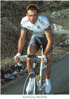 Photographie Vélo Cyclisme  - 10 X 15 CM-    ANTHONY  MORIN  1999 - Cyclisme