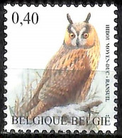 D - [154821]TB//**/Mnh-Belgique 2007 - N° 3737, Hibou Moyen-duc, Buzin, Oiseau, SNC - Sonstige