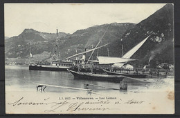 Carte P De 1904 ( Villeneuve / Lac Léman ) - Villeneuve