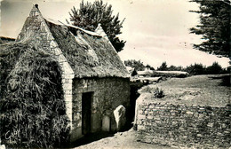 Locmariaquer * Entrée Du Mané Lud * Maison - Locmariaquer