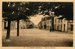 Le Faouët * La Rue Du Château - Faouët