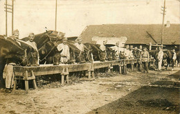 Vannes * Carte Photo * Militaria * Le Repas Des Chevaux * Caserne Cavalerie ? - Vannes