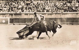 A9464 CORRIDA DE TOROS - Corrida