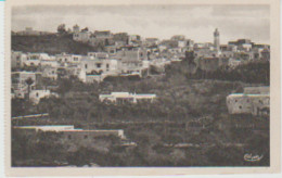 TUNISIE . CARTHAGE . Vue Générale De Sidi-Bou-Saïd - Tunisie