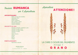 013933 "AGRICOLTORI ATTENZIONE! - LA CARIE O GOLPE DEL FRUMENTO DISTRUGGE IL GRANO - RUMIANCA - TORINO" PUBBL. '50 - Pubblicitari