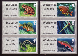 GB Post & Go 2013 Faststamps Pond Life - (2nd  Series) - Post & Go (automatenmarken)