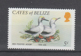Cayes Di Belize  - 1984.  Coppia Di Sule. Gannets Pair. MNH - Pelicans