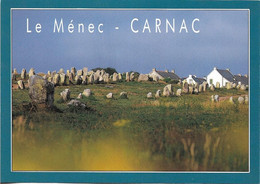 MEGALITHE + Carte Postale Neuve : CARNAC - Le Ménec - Les Alignements De Menhirs + Ed. JOS 6-7454 - Dolmen & Menhirs