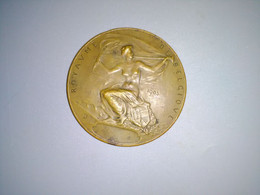 Médaille Exposition Universelle Internationale 1905 Liège Belgique Art Nouveau - Tourist