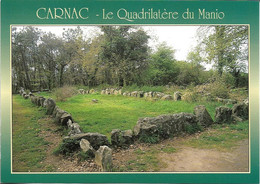 MEGALITHE + Carte Postale Neuve : CARNAC - Le Quadrilatère Du MANIO - Petits Menhirs + Ed. JOS 6-7478 - Dolmen & Menhirs