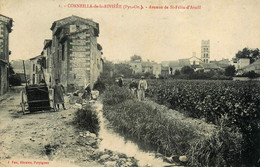 Corneilla De La Rivière * Avenue De St Féliu D'availl * Lavoir Laveuses Lavandières - Autres & Non Classés