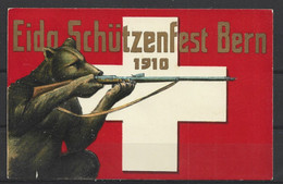 Carte P De 1910 ( Berne ) - BE Berne