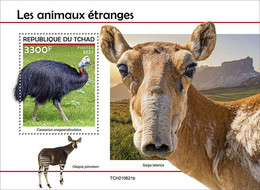 CHAD 2021 - Strange Animals, Cassowary S/S. Official Issue [TCH210621b] - Autruches