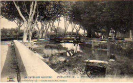 Cpa Piolenc - Promenade Des Marronniers   ( S.10472 ) - Piolenc
