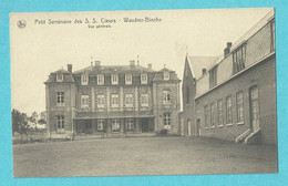 * Waudrez Binche (Hainaut - La Wallonie) * (Nels, Ern Thill) Petit Séminaire Des S.S. Coeurs, Vue Générale, Old, Rare - Binche