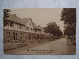 Charbonnage Helchteren Et Zolder - Cité Mommeplas - Maisons Ouvrières. - Houthalen-Helchteren