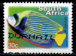 RSA+ Südafrika 2000 Mi 1288 Kaiserfisch TK - Ungebraucht