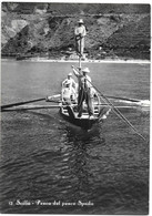 Italie - SCILLA  - PESCA DEL PESCE SPADA   Carte-photo N° 12 Ed F.GIOFFRE SCILLA - Autres & Non Classés