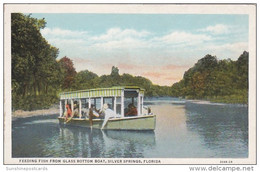 Florida Silver Springs Feeding Fish From Glass Bottom Boats Curteich - Silver Springs