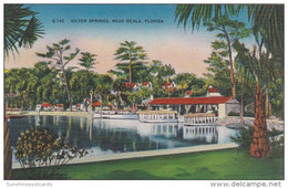 Florida Silver Springs Boat Docks And Glass Bottom Boats - Silver Springs