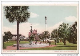 Florida Jacksonville Fountain In Hemming Park Detroit Publishing - Jacksonville