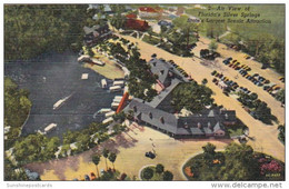 Florida Silver Springs Aerial View Curteich - Silver Springs