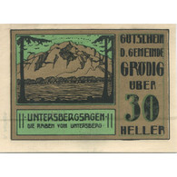 Billet, Autriche, Grödig, 30 Heller, Fleuve 1920-12-31, SPL, Mehl:FS 290e - Austria