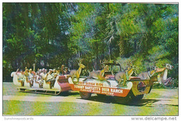 Florida Silver Springs Sleigh Riding Tommy Bartlett's Deer Ranch 1958 - Silver Springs