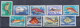 Yugoslavia Republic Sea Fish 1956 Mi#795-803 Mint Hinged - Neufs