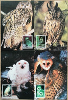 China Maximum Card,1995,  MC-20 Owl,4 Pcs - Cartes-maximum