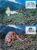 China Maximum Card,1990 Mc-9 Snow Leopard,2 Pcs - Cartes-maximum