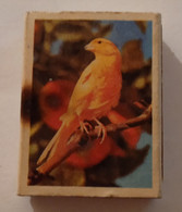 CANARIENSE,SPAIN,BIRD,OLD MATCHBOXE - Boites D'allumettes