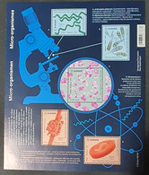 Belgium / Micro-organisms Science Microscope Health - Nuovi