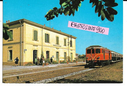 Treni Emilia Romagna Reggio Emilia Brescello Viadana Stazione Ferroviaria Veduta Interno Stazione Con Treno In Transito - Bahnhöfe Mit Zügen