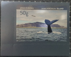 Iceland / Animals / Tourism, Sport, Rafting, Fauna, Whales - Nuevos