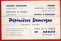 13 BdR Carte De Visite, Arbres Fruitiers, Vignes, Pépinières Domergue, Pont De La Pierre, Sénas 13 - Visiting Cards