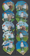 Switzerland, Coffee Cream Labels, "Happy Cow" Milk Ad, Lot Of  37. - Opercules De Lait