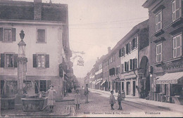 Villeneuve VD, Fontaine Et Rue Animée, Hôtel (charnaux 6440) - Villeneuve