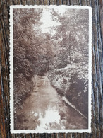 Grez-Doiceau La Rivière Le Train Au Franc Moulin Léon Michaux Nels - Graven