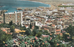 Alger   Edit Jomone  No.645 - Algiers