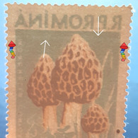 Errors Romania 1958 Mi 1727 Mushrooms Printed With Watermark  Horizontal Line  Unused - Variétés Et Curiosités