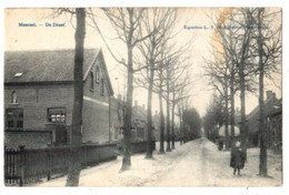 MEERSEL - De Dreef - Verzonden 1908 - Eigendom V Hoof Roelans , Hoogstraten - Hoogstraten