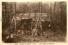 Forêt De Sénart * Une Cabane De Bucherons * Métier Bois - Sénart