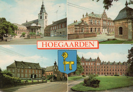 HOEGAARDEN - Multivues - Hoegaarden