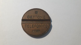 AM2 REPUBBLICA ITALIANA GETTONE TELEFONICO IPM 7302 FEBBRAIO 1973 IN BB - Other & Unclassified